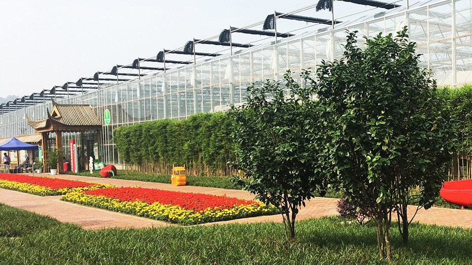 williamhill园林绿化维护